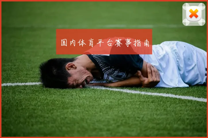 国内体育平台赛事指南