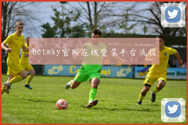 betway官网在线登录平台流程