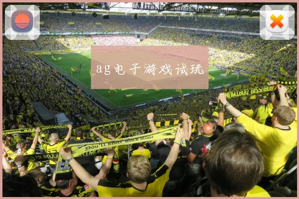 ag电子游戏试玩