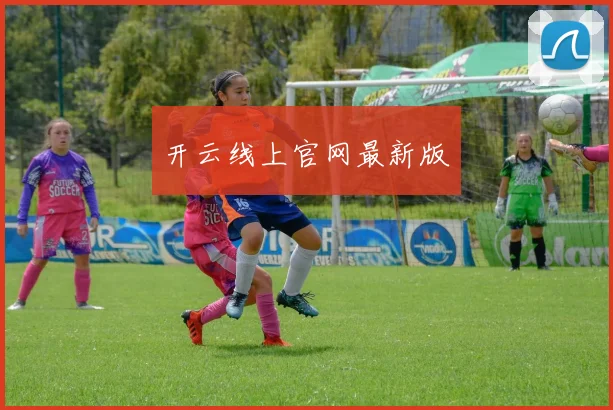 开云线上官网最新版