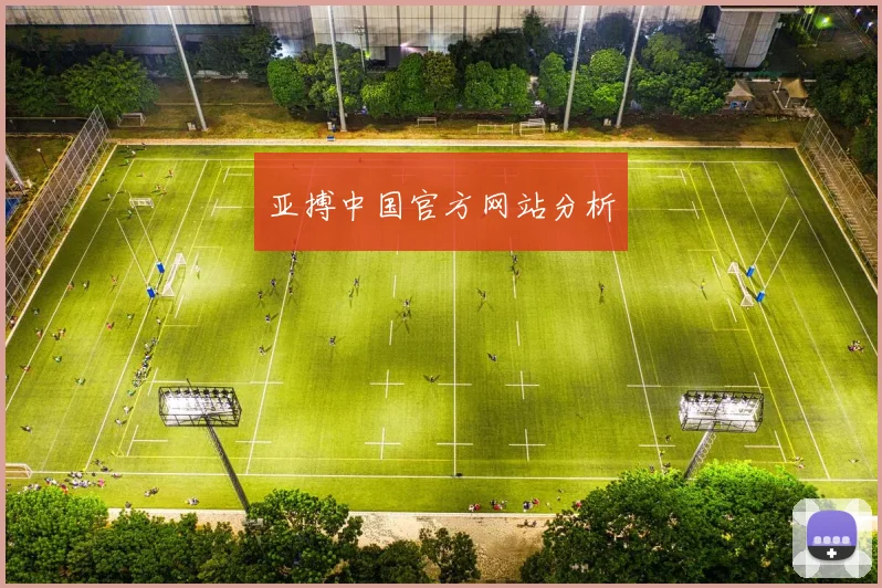 亚搏中国官方网站分析