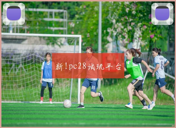 新!pc28试玩平台