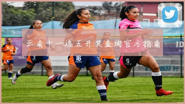 云南十一选五开奖查询官方指南