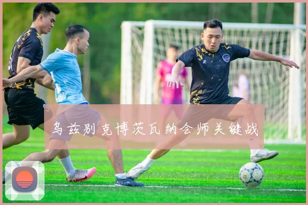 乌兹别克博茨瓦纳会师关键战