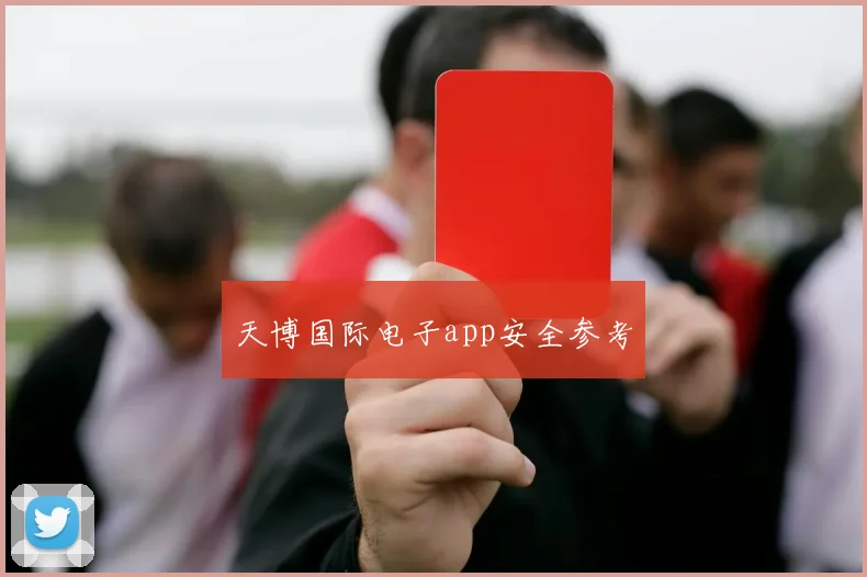 天博国际电子app安全参考