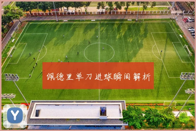 佩德里单刀进球瞬间解析