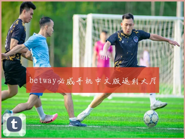 betway必威手机中文版返利大厅