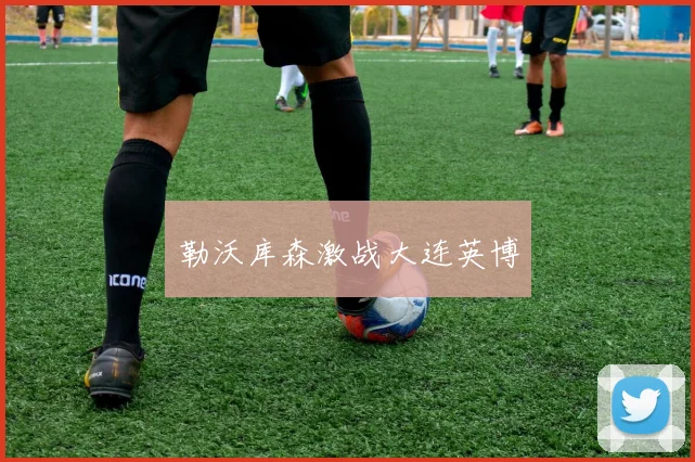 勒沃库森激战大连英博