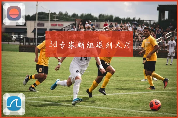 3d专家断组返利大厅