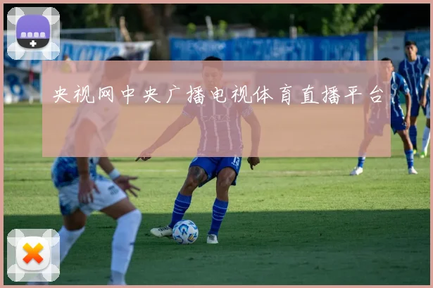 央视网中央广播电视体育直播平台