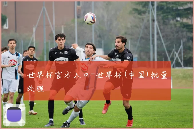 世界杯官方入口-世界杯(中国)批量处理
