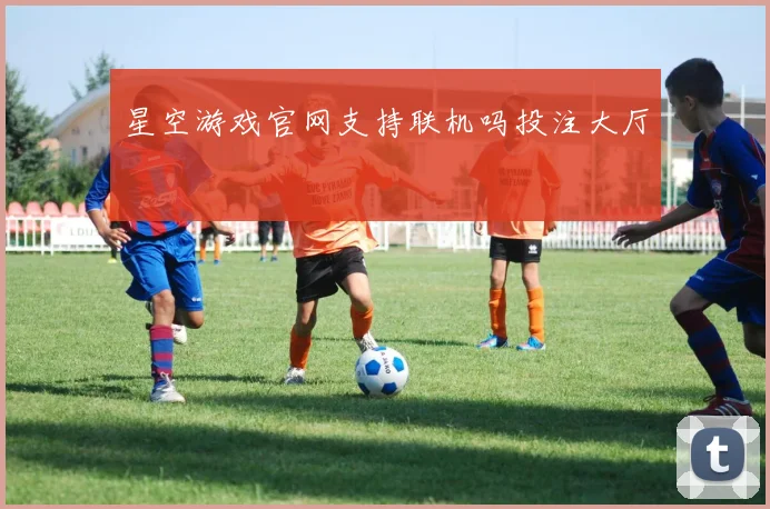 星空游戏官网支持联机吗投注大厅