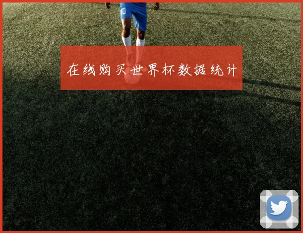 在线购买世界杯数据统计