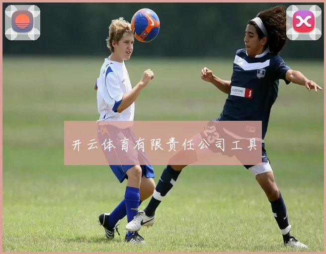 开云体育有限责任公司工具