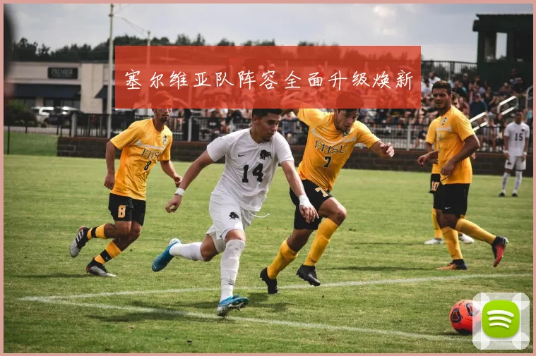 塞尔维亚队阵容全面升级焕新