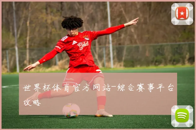 世界杯体育官方网站-综合赛事平台攻略