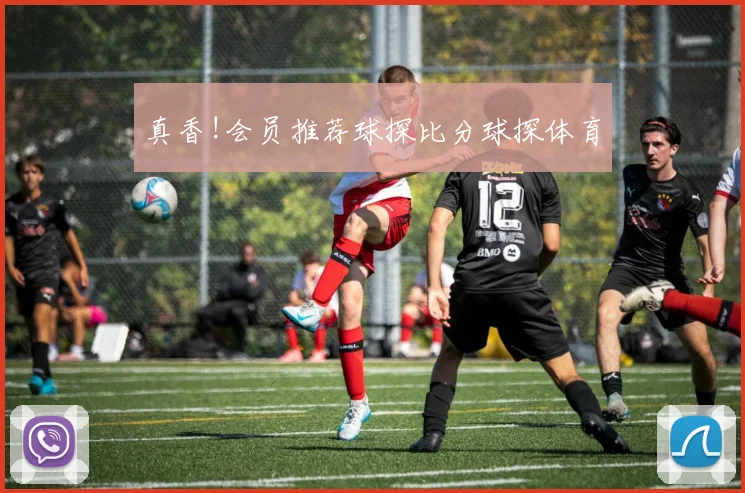真香!会员推荐球探比分球探体育