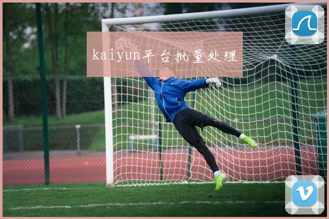 kaiyun平台批量处理