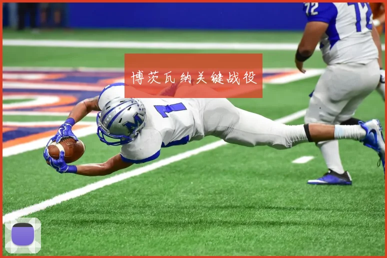 博茨瓦纳关键战役