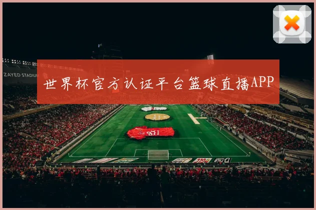 世界杯官方认证平台篮球直播APP