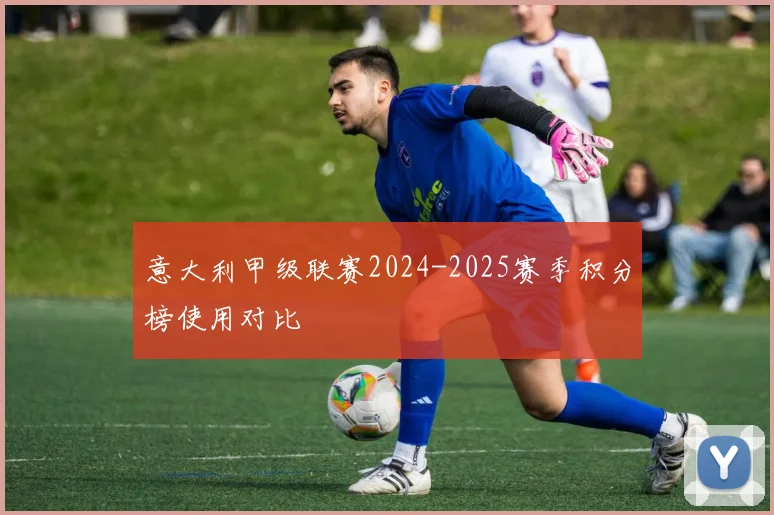 意大利甲级联赛2024-2025赛季积分榜使用对比