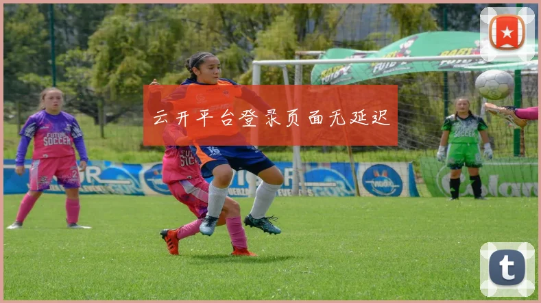 云开平台登录页面无延迟