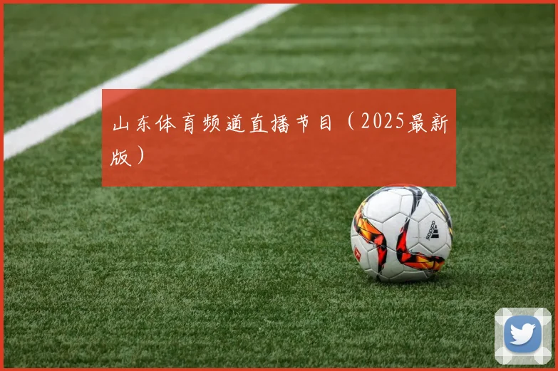 山东体育频道直播节目（2025最新版）
