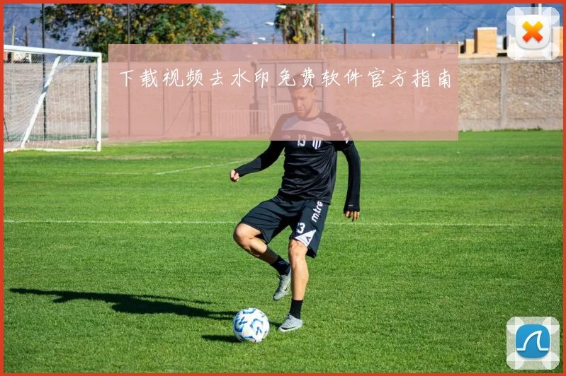 下载视频去水印免费软件官方指南