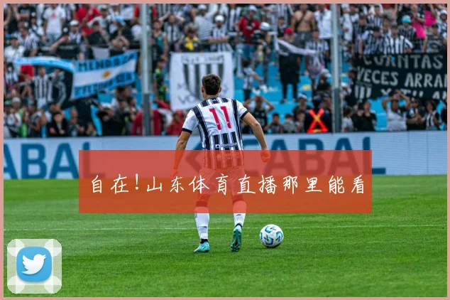 自在!山东体育直播那里能看
