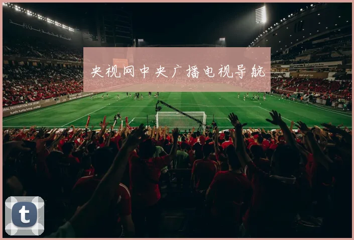 央视网中央广播电视导航