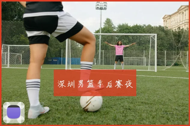 深圳男篮季后赛夜