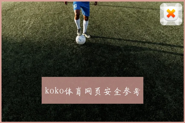 koko体育网页安全参考