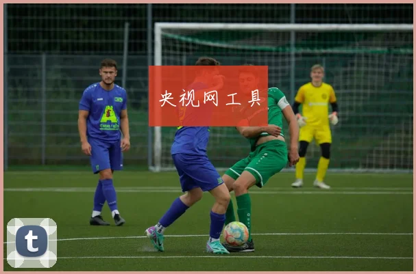 央视网工具