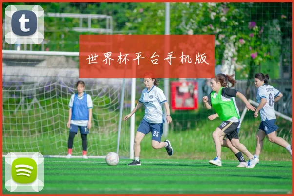 世界杯平台手机版