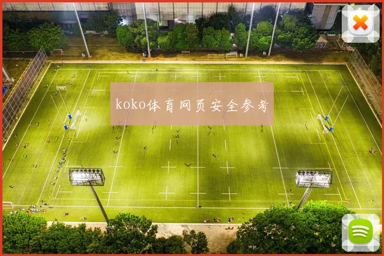 koko体育网页安全参考