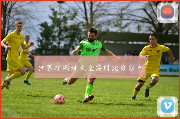 世界杯网址大全实时比分助手