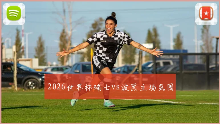 2026世界杯瑞士vs波黑主场氛围