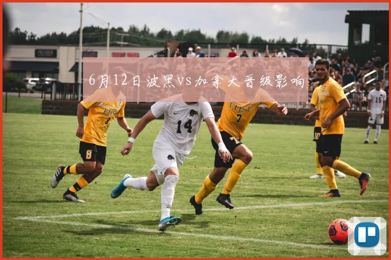 6月12日波黑vs加拿大晋级影响